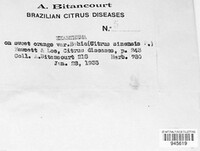 Image Associated With the Occurence